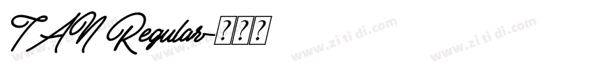 TAN Regular字体转换